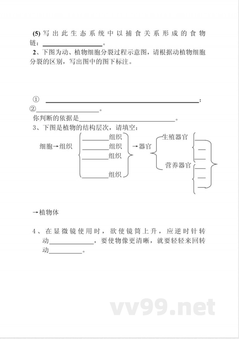 七年级上册期中生物