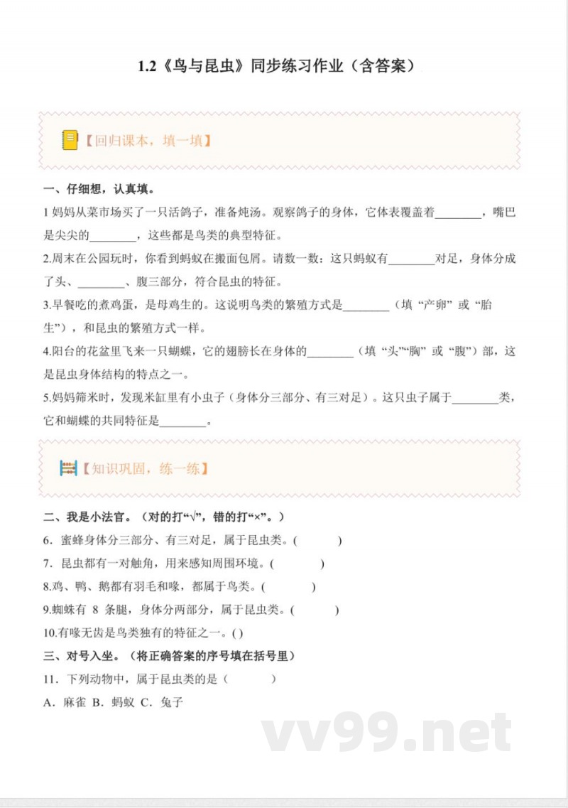 1.2 鸟与昆虫（分层作业）科学粤教粤科版三年级下册2025