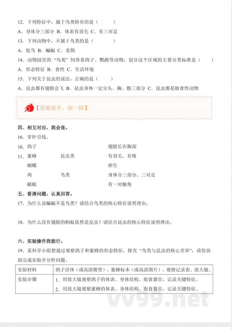 1.2 鸟与昆虫（分层作业）科学粤教粤科版三年级下册2025