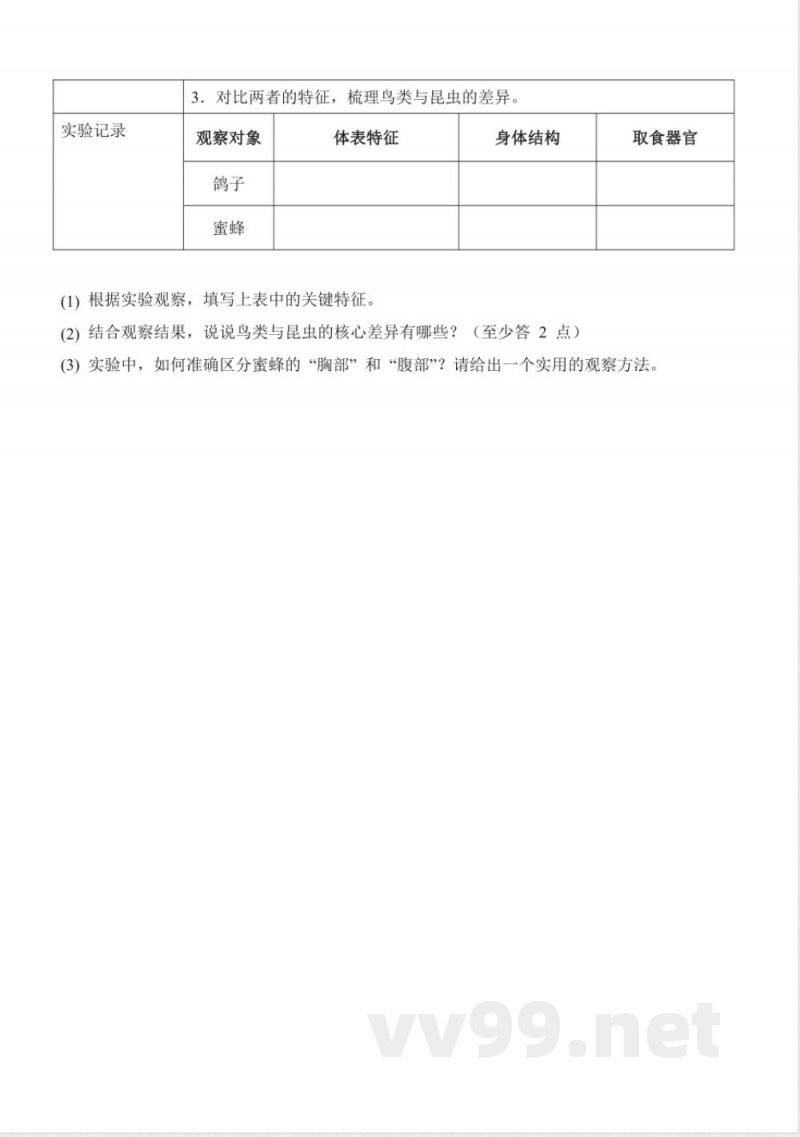 1.2 鸟与昆虫（分层作业）科学粤教粤科版三年级下册2025