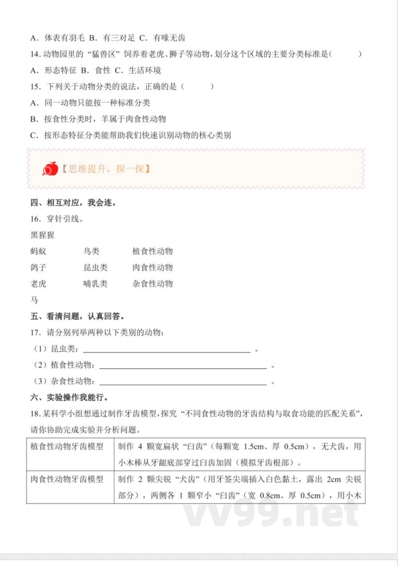 1.1 动物的分类（分层作业）科学粤教粤科版三年级下册2025