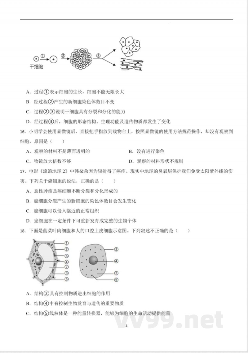 [七年级生物]人教版生物七年级上册期中考前训练卷