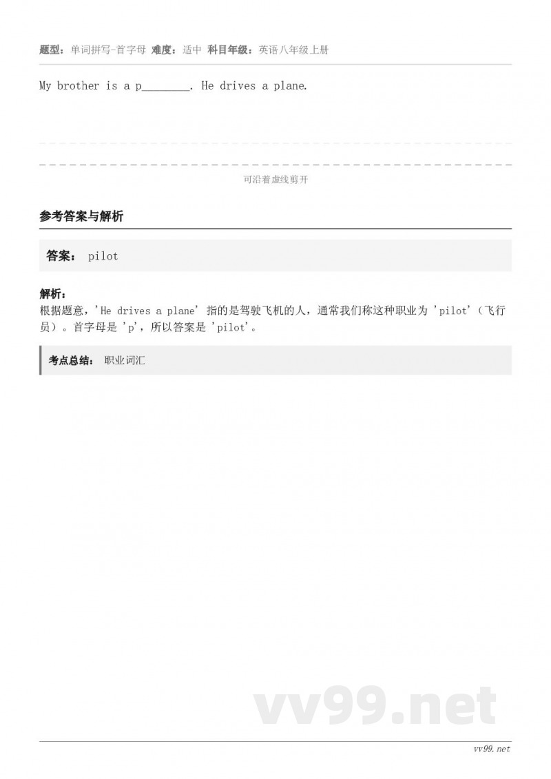 My brother is a p________. He drives a plane.