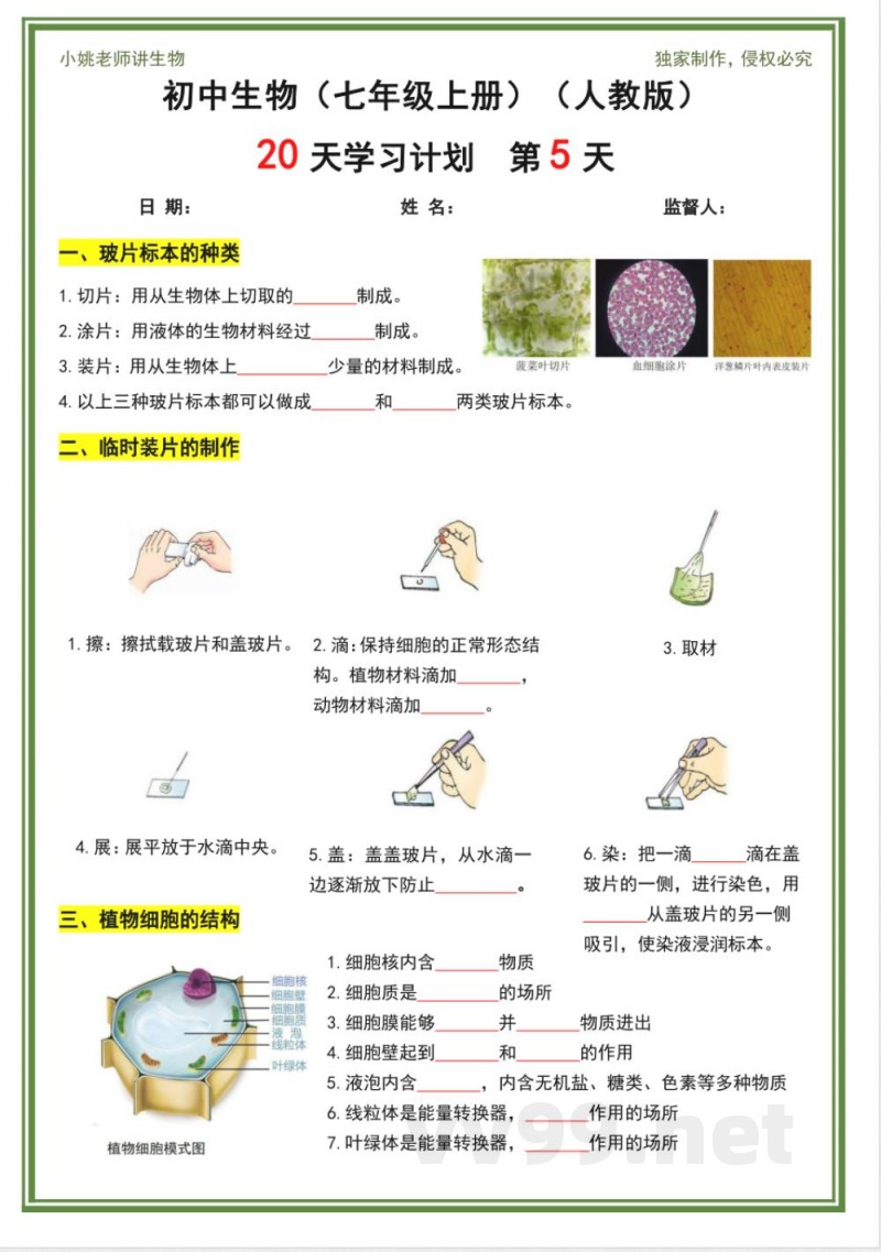 人教版七年级上册生物20天计划