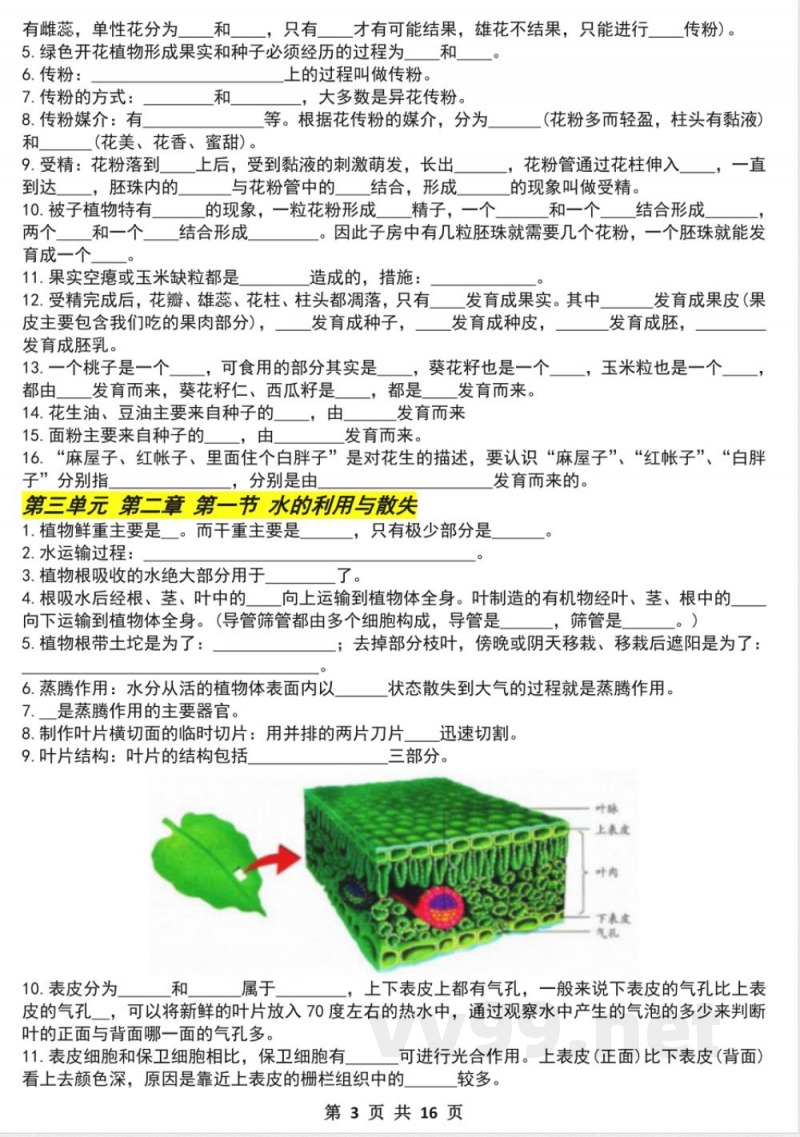 七年级下册生物期中必考实验题（空白）