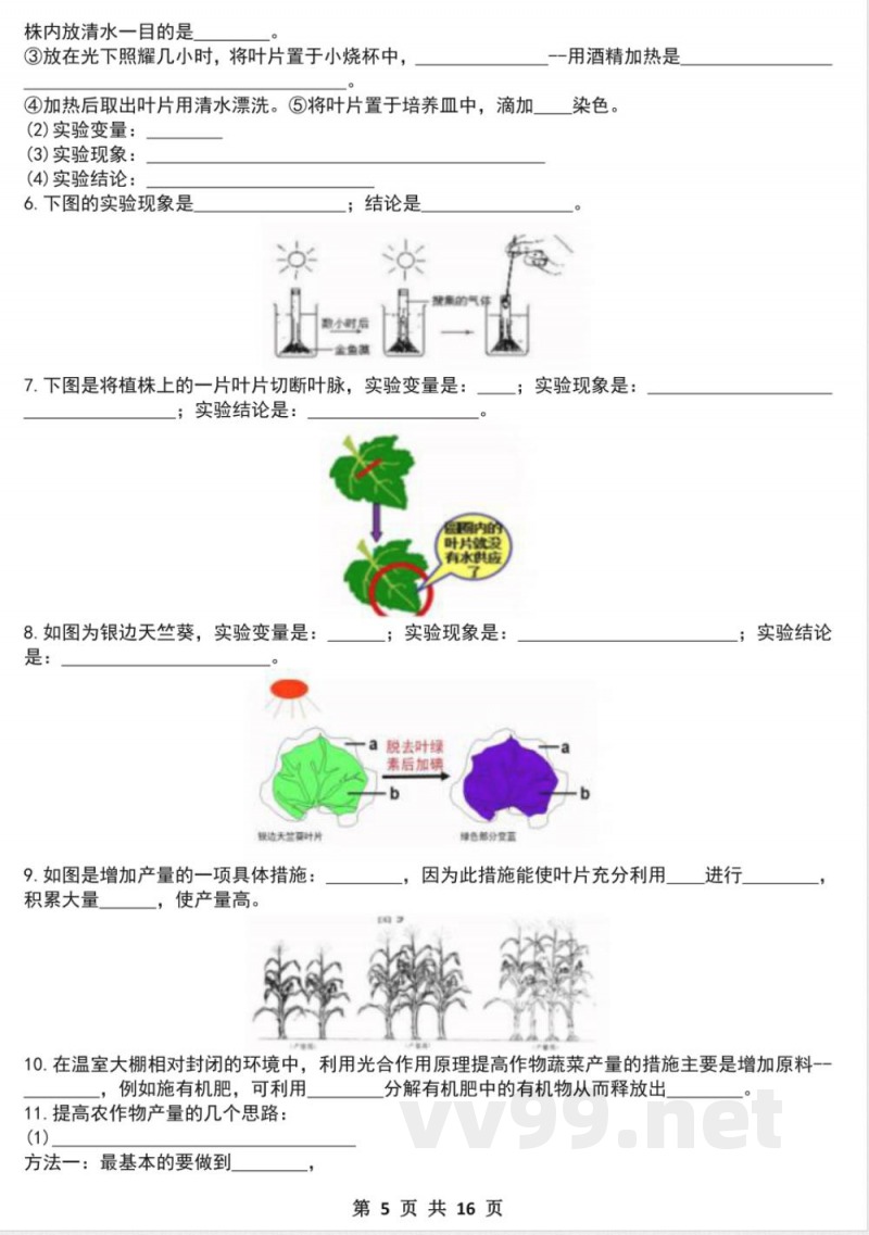 七年级下册生物期中必考实验题（空白）