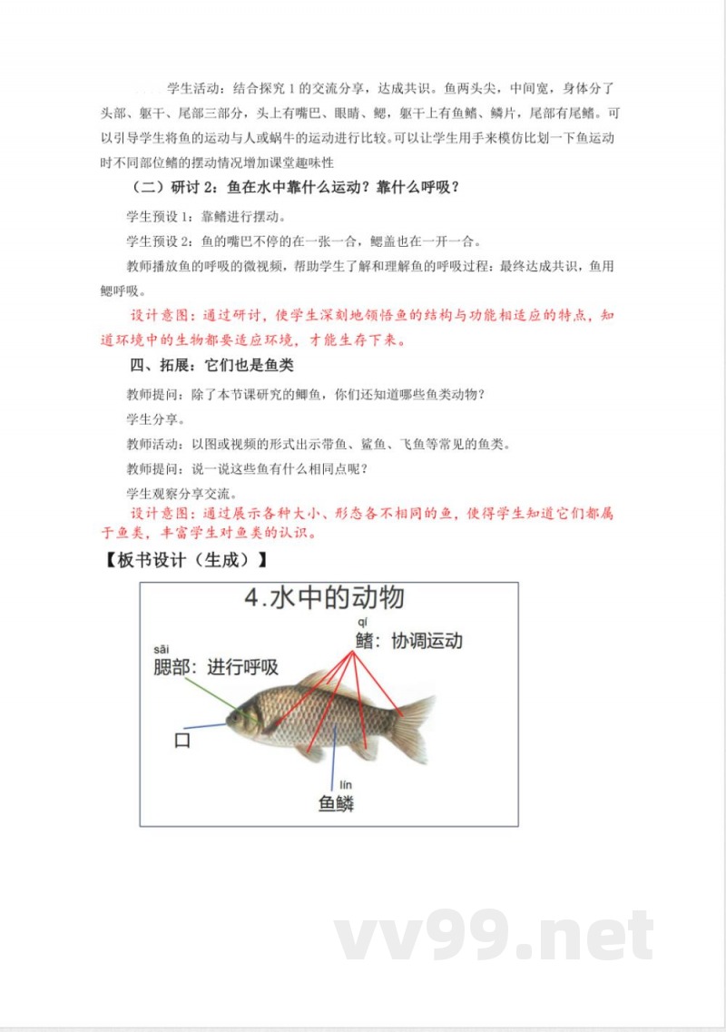 2.4《水中的动物》教学设计 教科版科学一年级下册