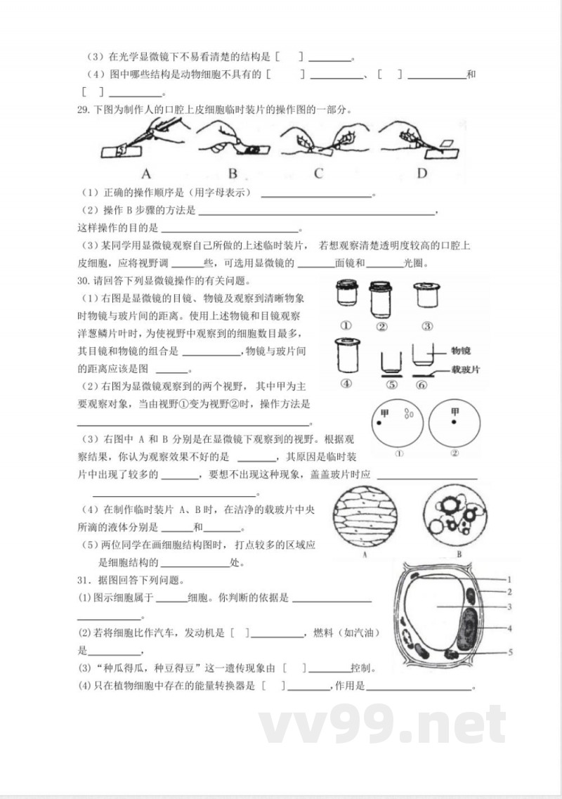 七年级生物上册单元测试(二) 七年级生物上册单元测试(二)