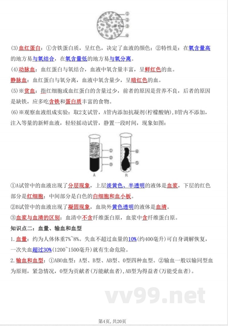 2025年新北师大版七年级下册生物全册知识点