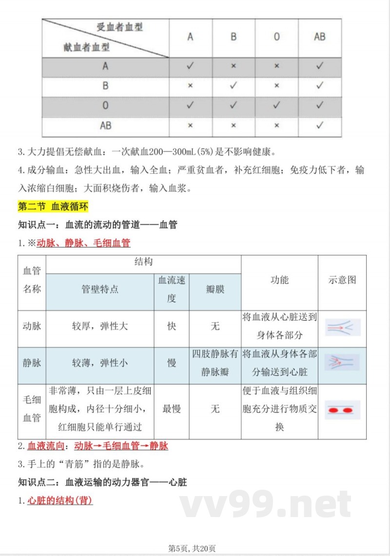 2025年新北师大版七年级下册生物全册知识点