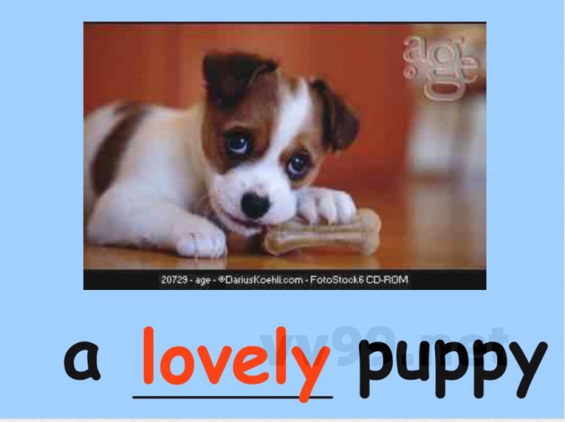 湘少版小学英语五年级上册