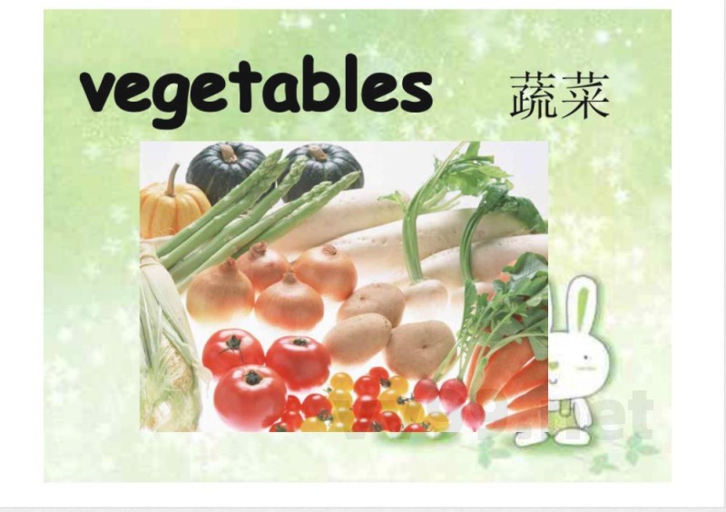 (湘少版)英语五年级上册