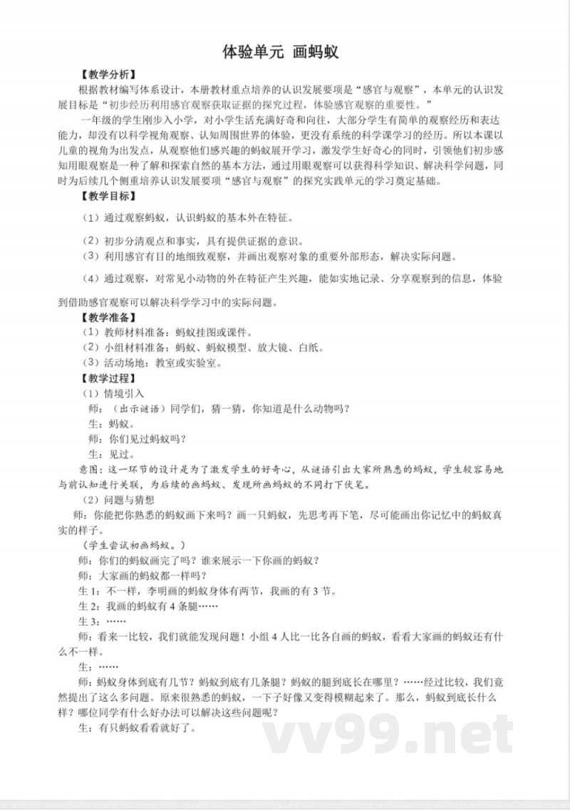 体验单元 画蚂蚁 教案 2025大象版科学一年级上册