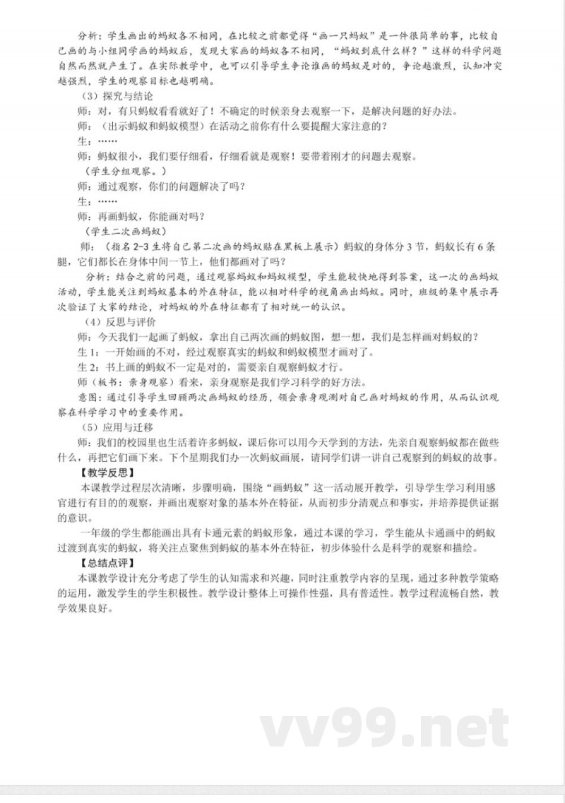 体验单元 画蚂蚁 教案 2025大象版科学一年级上册