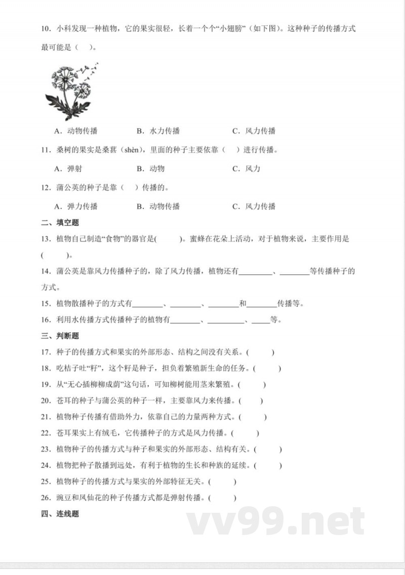 1.7 种子的传播 分层练习（含答案） 教科版科学四年级下册