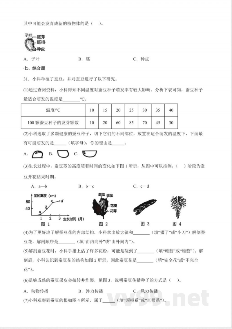 1.7 种子的传播 分层练习（含答案） 教科版科学四年级下册
