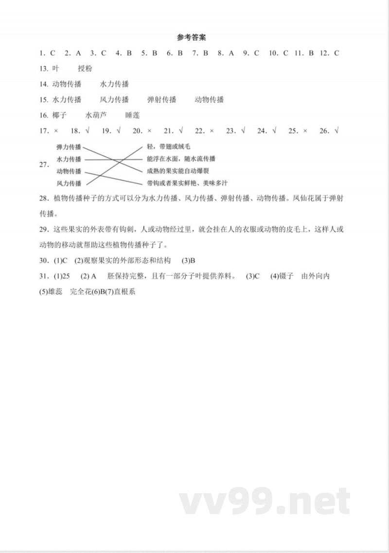 1.7 种子的传播 分层练习（含答案） 教科版科学四年级下册