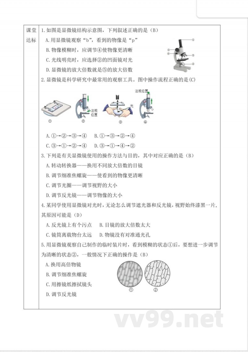 2025年新冀少版生物七年级上册同步教学设计