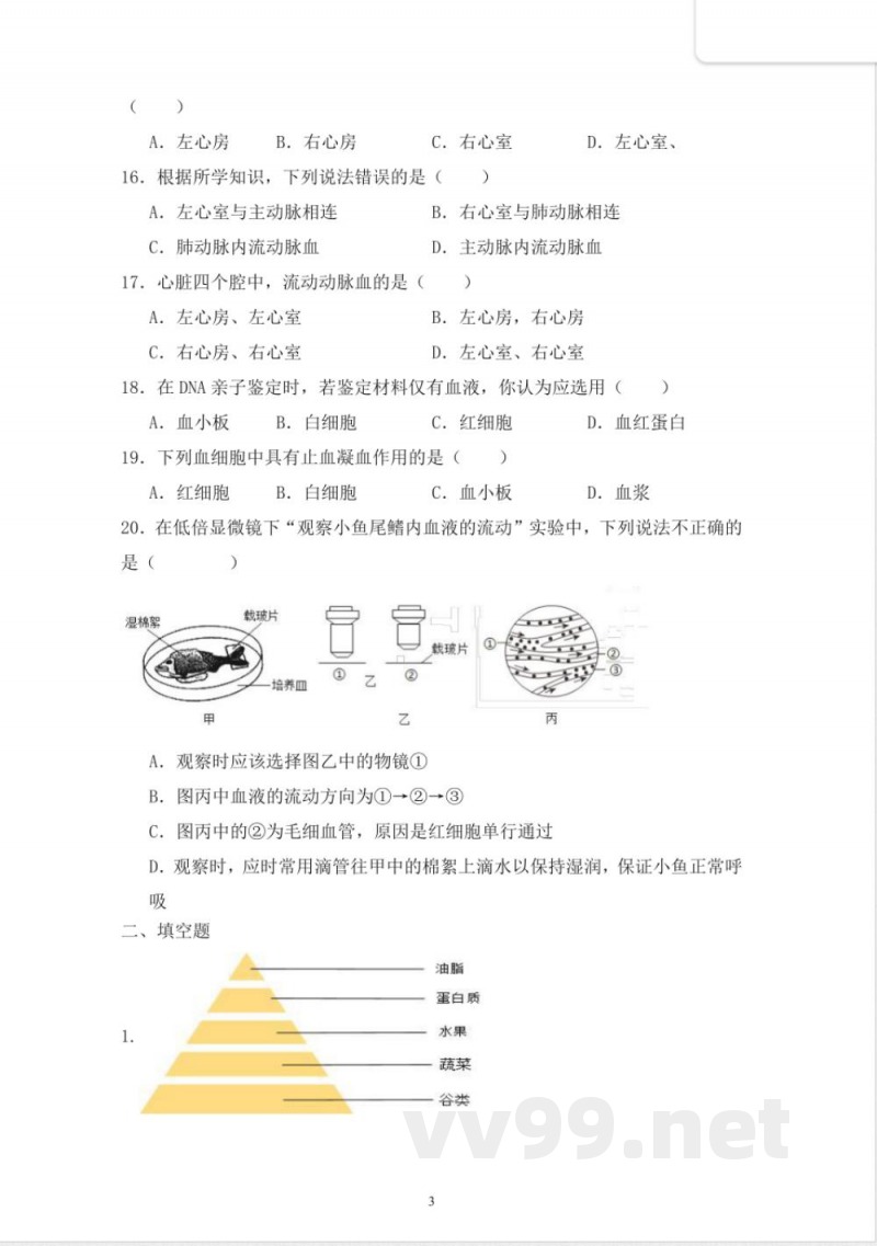 苏科版（2024）八年级上册生物学期中质量检测题 （含答案）