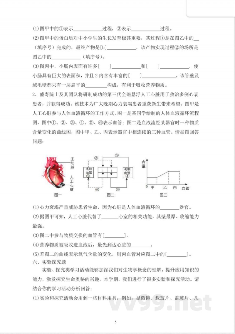 苏科版（2024）八年级上册生物学期中质量检测题 （含答案）