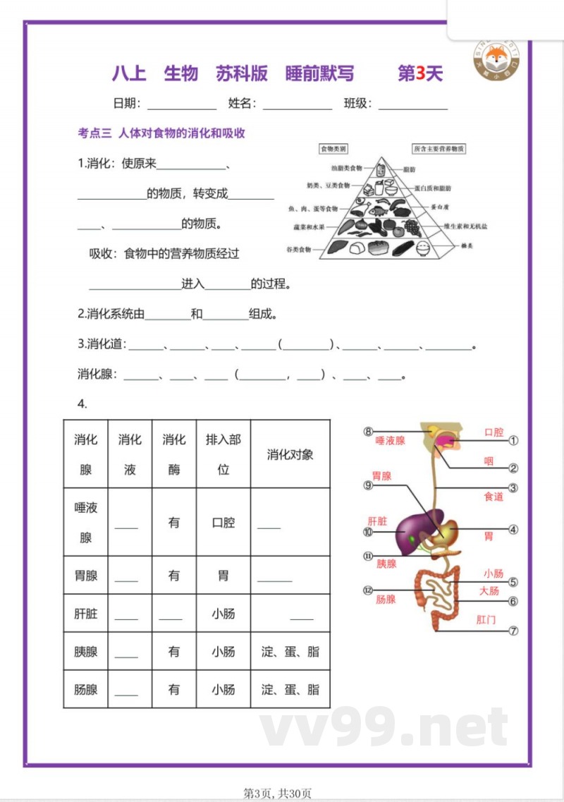 【25新苏科版】八年级上册生物早读晚默(空 【25新苏科版】八年级上册生物早读晚默(空