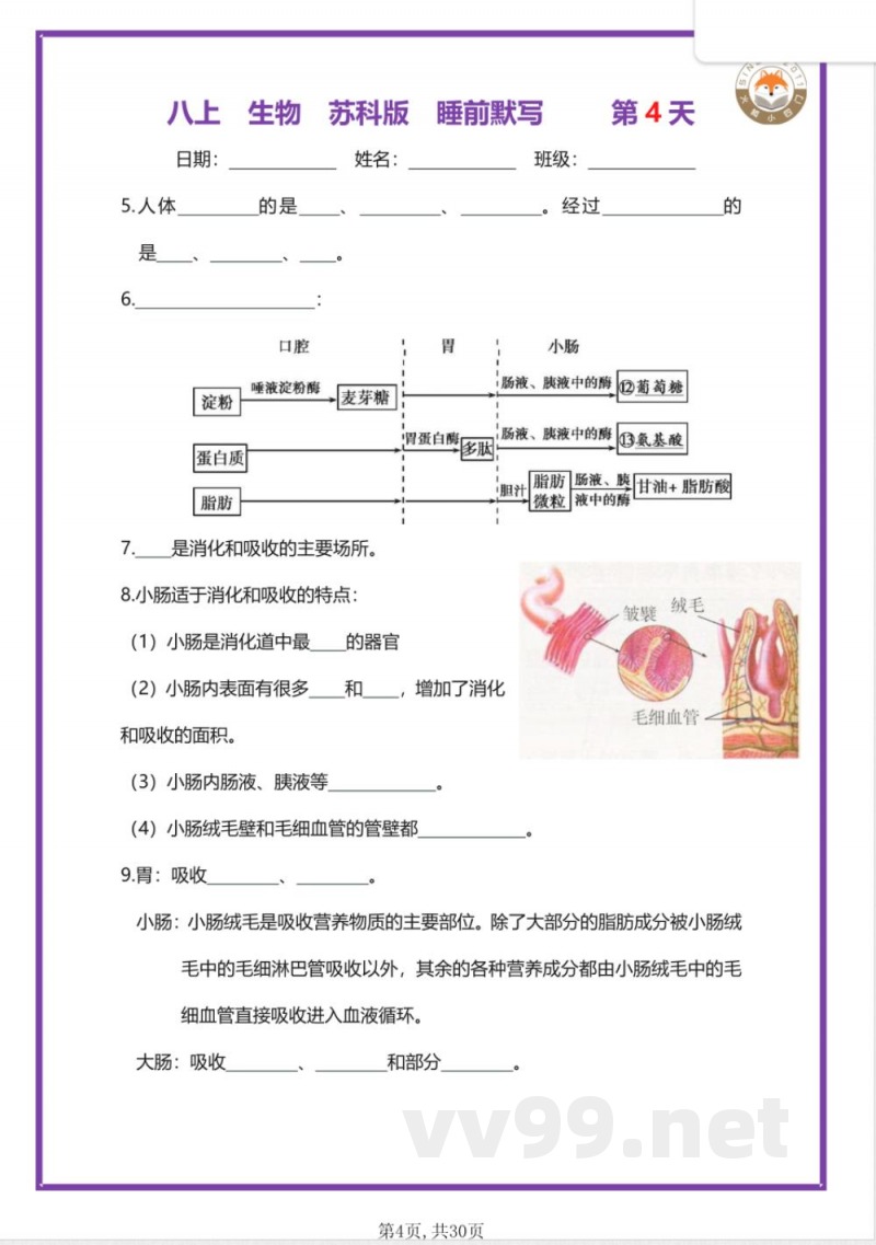 【25新苏科版】八年级上册生物早读晚默(空 【25新苏科版】八年级上册生物早读晚默(空