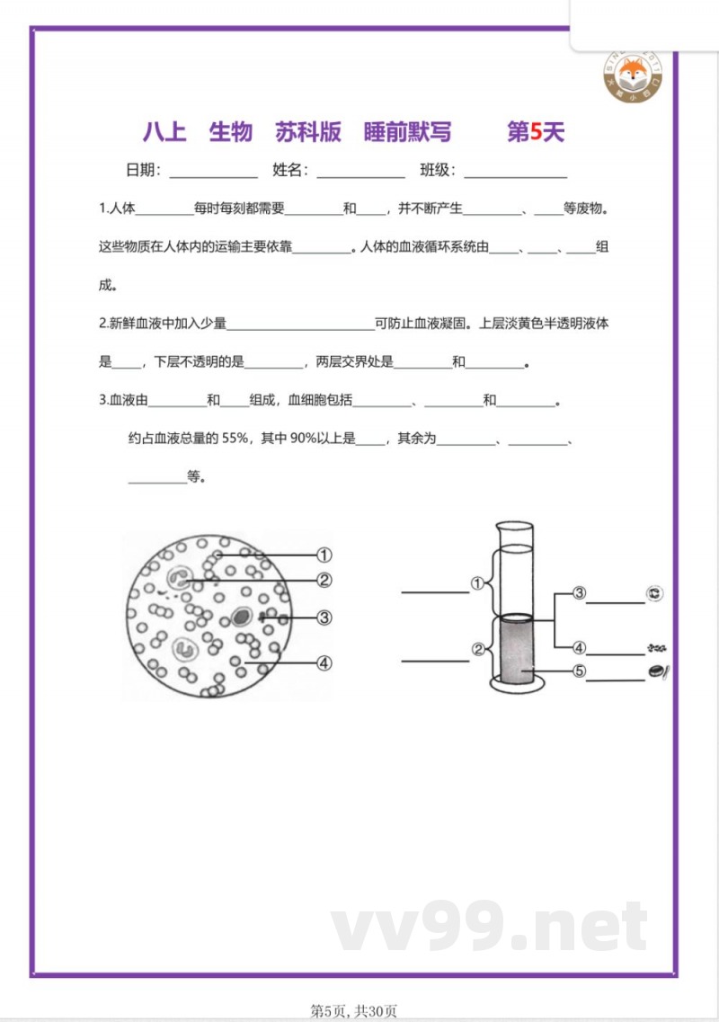 【25新苏科版】八年级上册生物早读晚默(空 【25新苏科版】八年级上册生物早读晚默(空