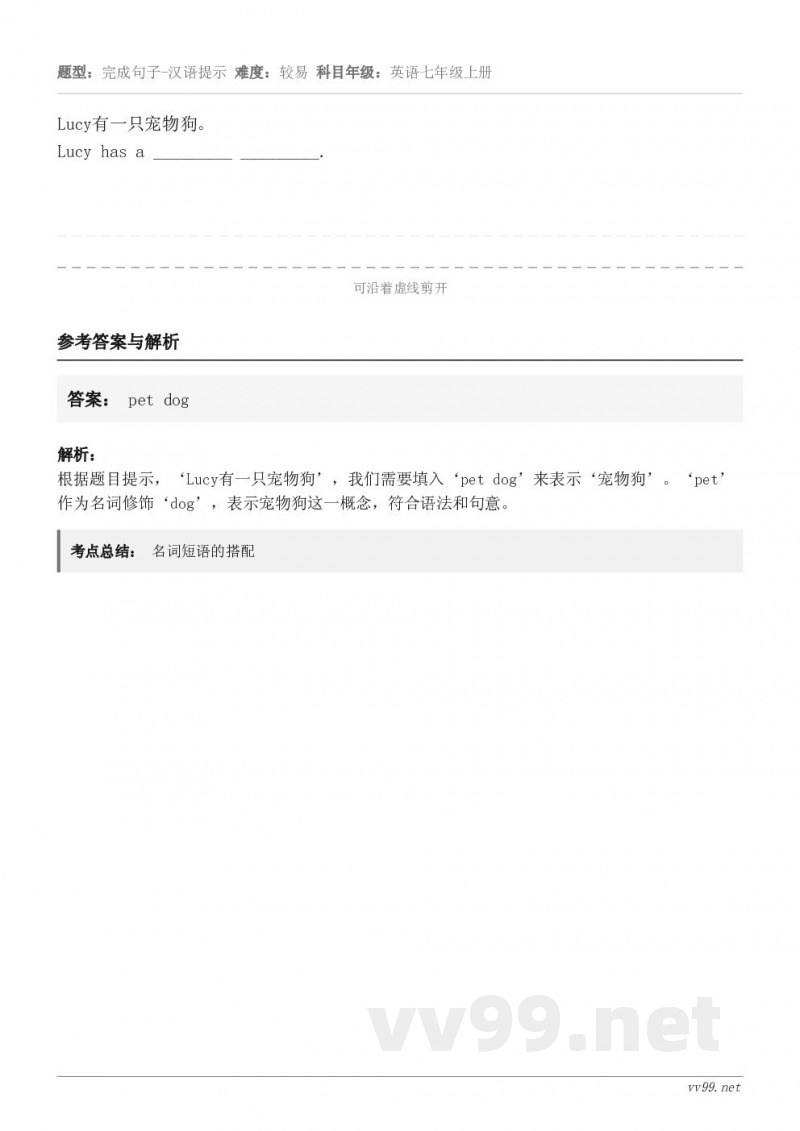 Lucy有一只宠物狗。Lucy has a _________ _________.