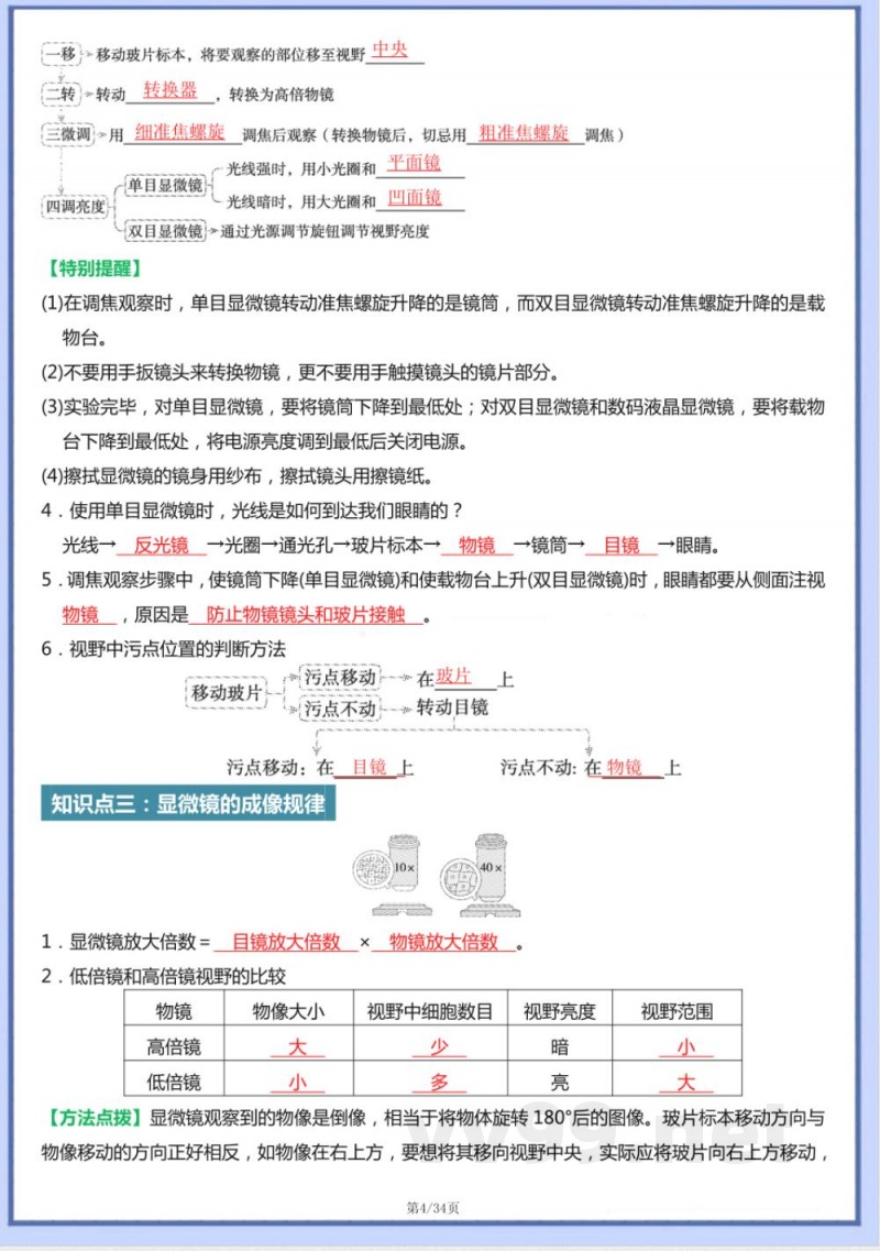 2025版七年级上册人教生物知识点梳理
