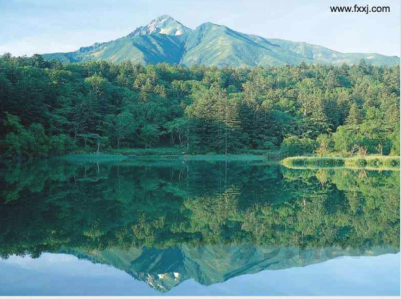 苏教版数学四年级上册