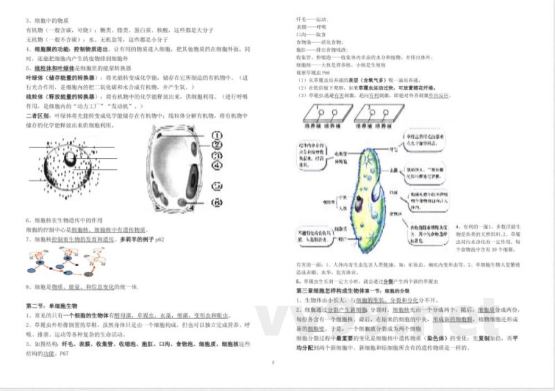 鲁科版六年级上册生物复习提纲