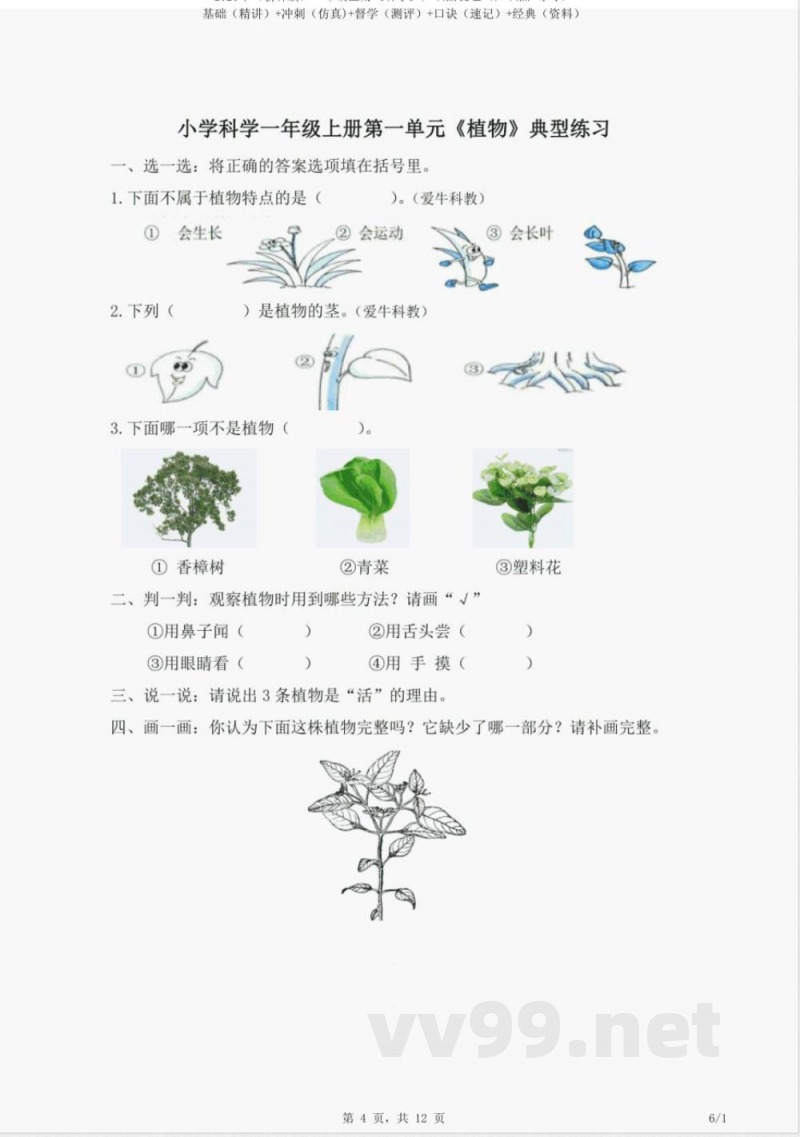 2023年（教科版）一年级上册《科学》知识点梳理（知识点 练习）