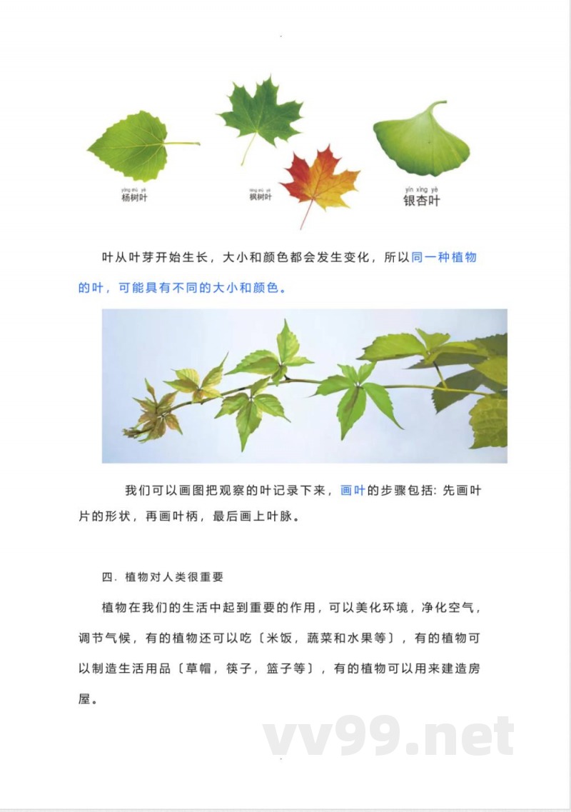 教科版科学一年级上册期末复习知识点总结