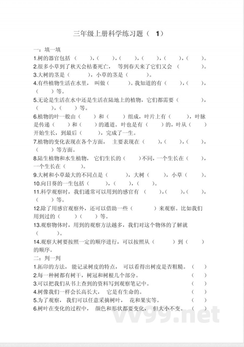 三年级上册科学练习题