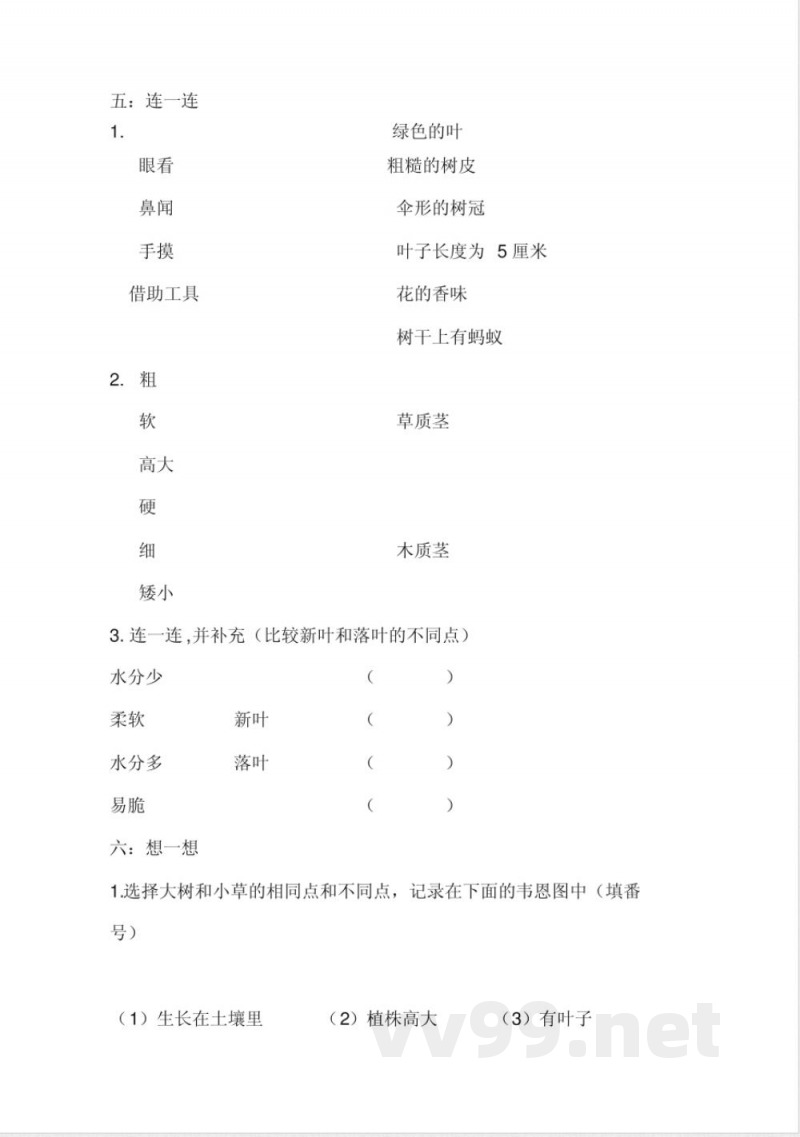 三年级上册科学练习题