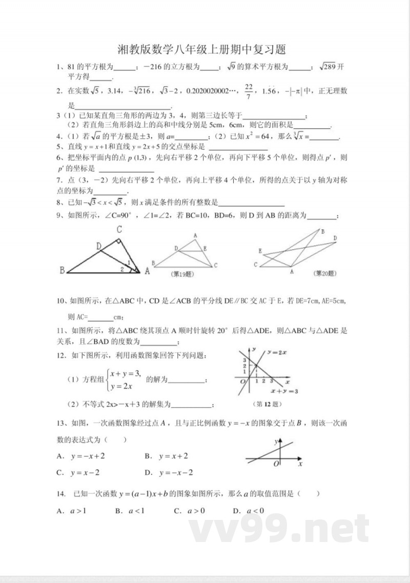湘教版数学八年级上册期中复习题