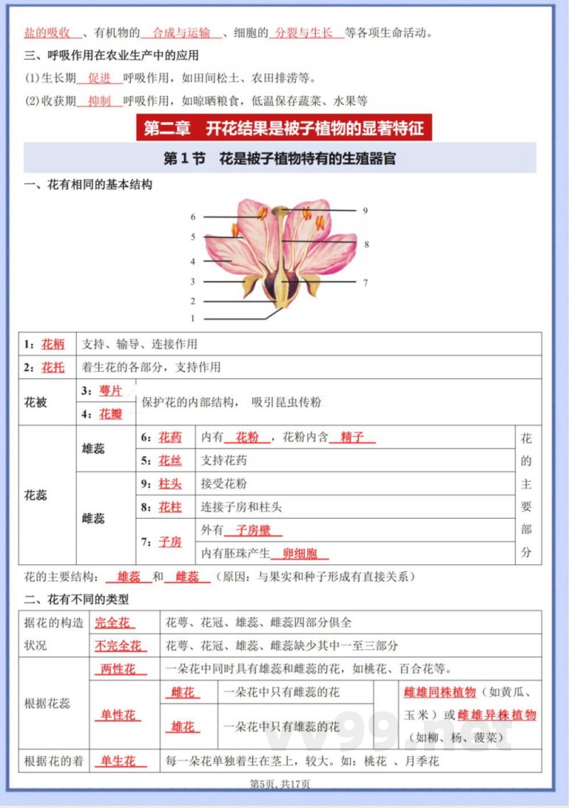 2025年新济南版七年级下册生物全册知识点复习资料